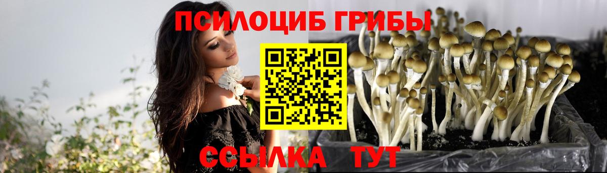 Псилоцибиновые грибы Magic Shrooms Ачинск