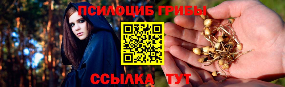 Галлюциногенные грибы Magic Shrooms  Вход с VPN  Ачинск 